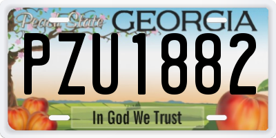 GA license plate PZU1882