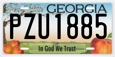GA license plate PZU1885