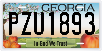 GA license plate PZU1893
