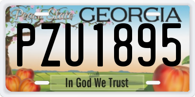 GA license plate PZU1895