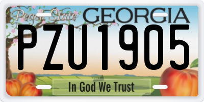 GA license plate PZU1905