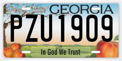 GA license plate PZU1909