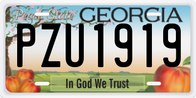 GA license plate PZU1919