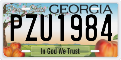 GA license plate PZU1984