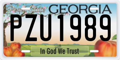 GA license plate PZU1989