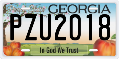 GA license plate PZU2018