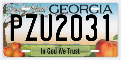 GA license plate PZU2031