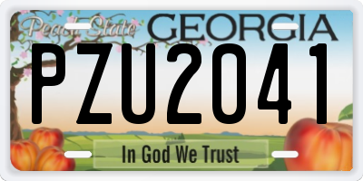 GA license plate PZU2041
