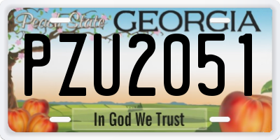 GA license plate PZU2051