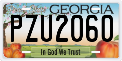 GA license plate PZU2060