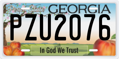 GA license plate PZU2076