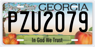 GA license plate PZU2079
