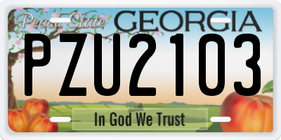 GA license plate PZU2103