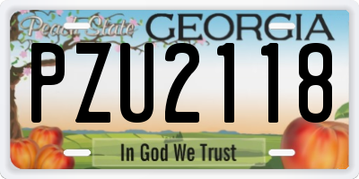 GA license plate PZU2118