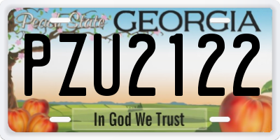 GA license plate PZU2122
