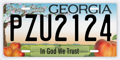 GA license plate PZU2124