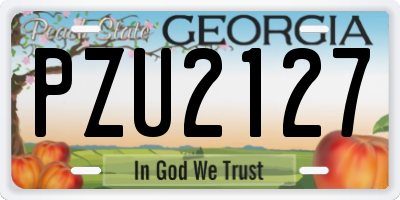 GA license plate PZU2127