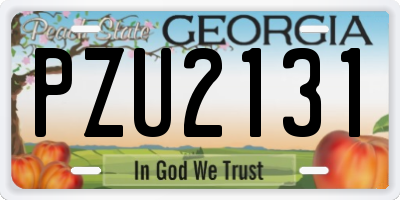 GA license plate PZU2131
