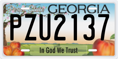 GA license plate PZU2137