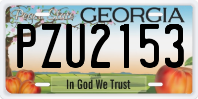 GA license plate PZU2153