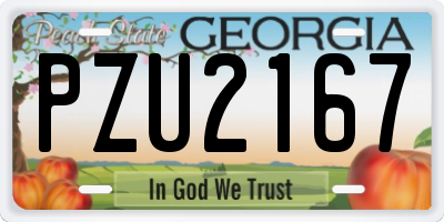 GA license plate PZU2167