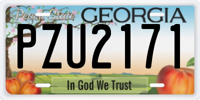 GA license plate PZU2171