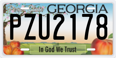 GA license plate PZU2178