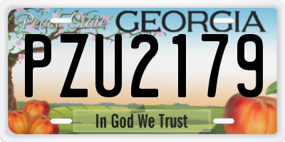 GA license plate PZU2179