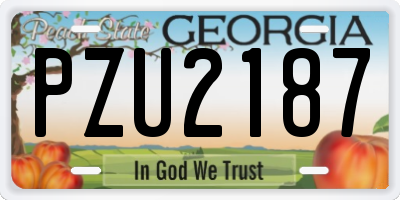 GA license plate PZU2187