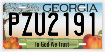 GA license plate PZU2191