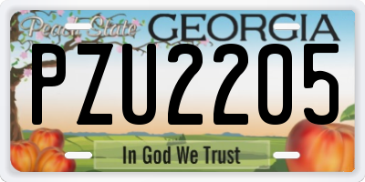 GA license plate PZU2205