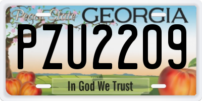 GA license plate PZU2209