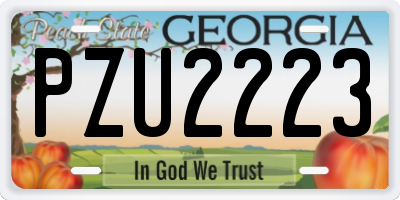 GA license plate PZU2223