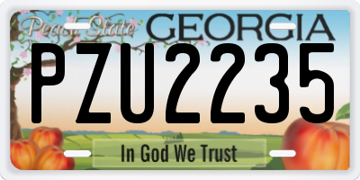 GA license plate PZU2235