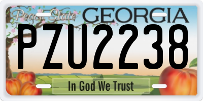 GA license plate PZU2238