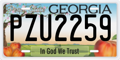 GA license plate PZU2259