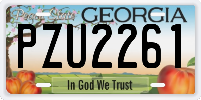 GA license plate PZU2261
