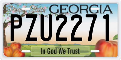 GA license plate PZU2271
