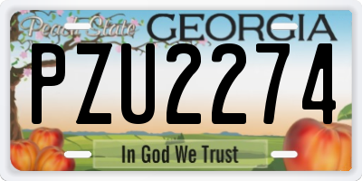 GA license plate PZU2274