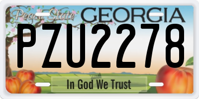 GA license plate PZU2278