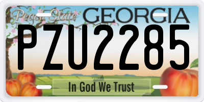 GA license plate PZU2285