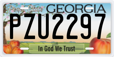 GA license plate PZU2297