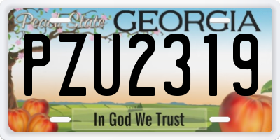 GA license plate PZU2319