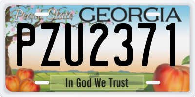 GA license plate PZU2371