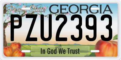 GA license plate PZU2393