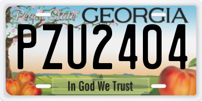 GA license plate PZU2404