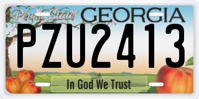 GA license plate PZU2413