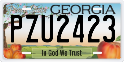 GA license plate PZU2423