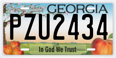 GA license plate PZU2434