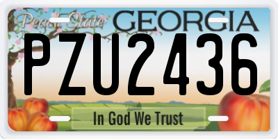 GA license plate PZU2436